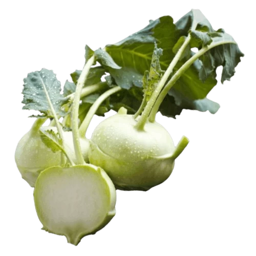 livraison Légumes chéloïdes jedra broudou الجدرة برودو
