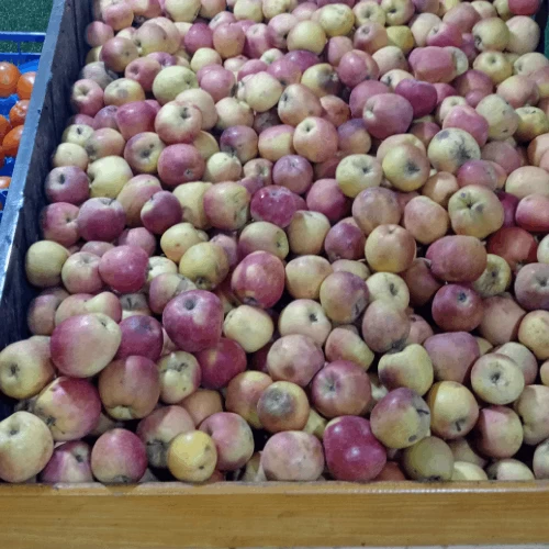Livraison à domicile pommes rouges Tunisiennes تفاح أحمر livraison fruits gabes
