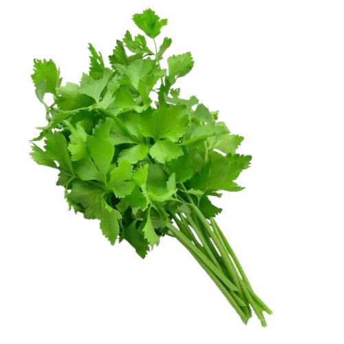 Livraison à domicile coriandre تابل livraison légumes gabes